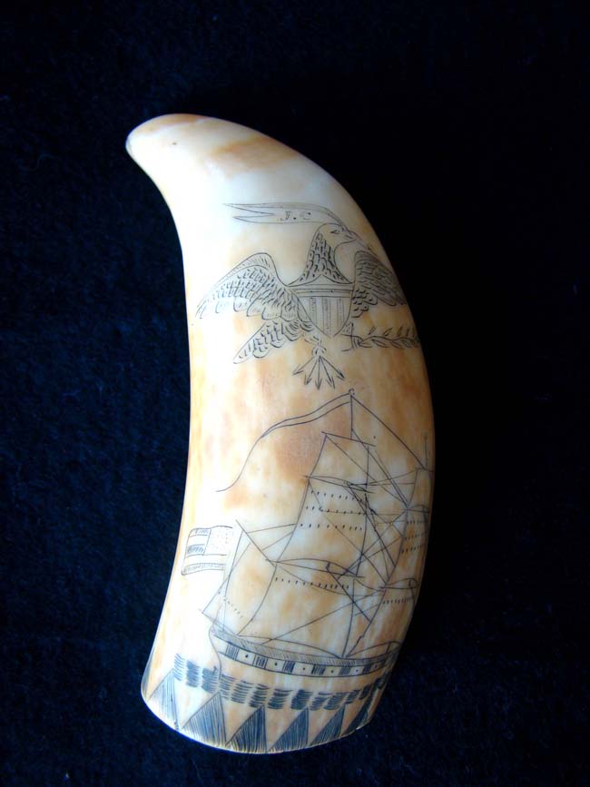 A wonderful American scrimshaw sperm whale's tooth circa 1850 — image 3